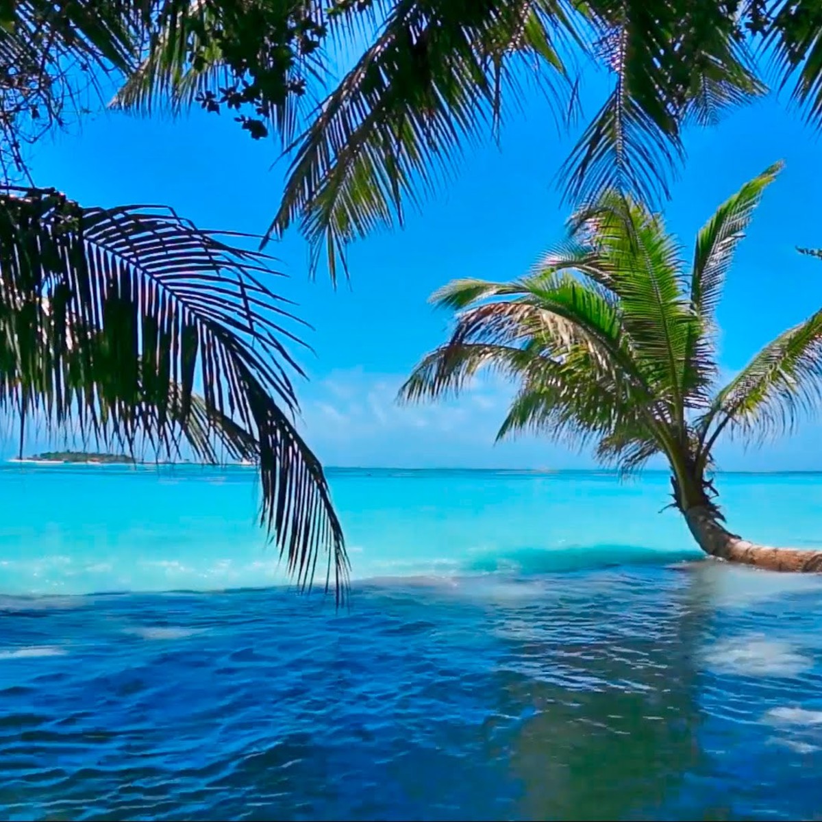 Producto 2PKUWBUJWP68CU978XNE