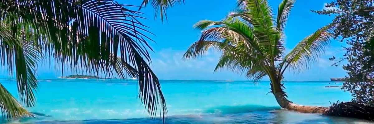 Portada Tienda de ACCESORIOS Y PRODUCTOS NATURALES